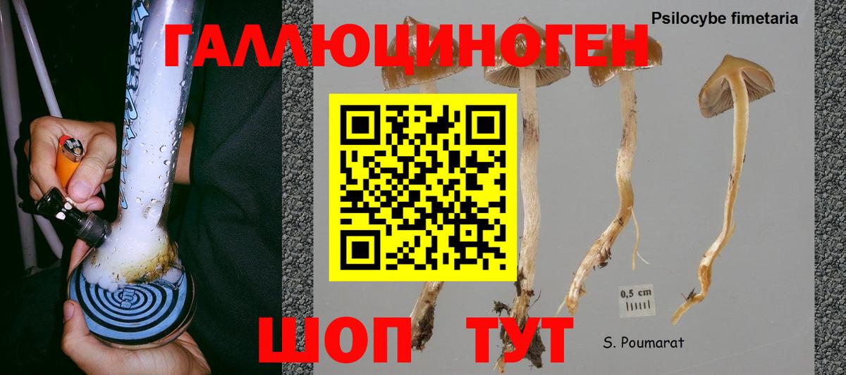 Балашиха  Галлюциногенные грибы GOLDEN TEACHER  Вход с VPN 